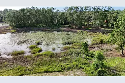 39817 Forest Drive, Eustis, FL 32736 - Photo 44