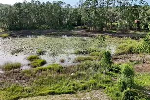 39817 Forest Dr, Eustis, FL 32736 - Photo 44