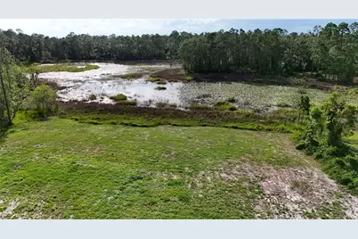 39817 Forest Drive, Eustis, FL 32736 - Photo 42