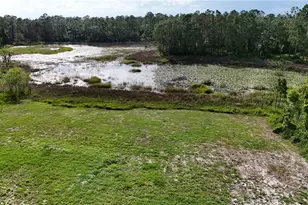 39817 Forest Dr, Eustis, FL 32736 - Photo 42