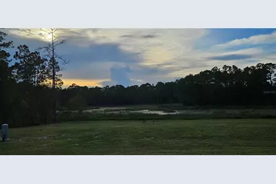 39817 Forest Drive, Eustis, FL 32736 - Photo 24