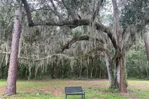 15102 Sandalwood Dr, Wildwood, FL 34785 - Photo 32