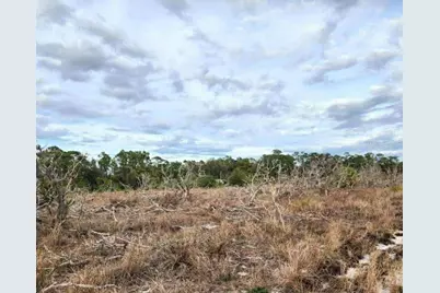 W Frostproof Road #Lot 17, Frostproof, FL 33843 - Photo 2