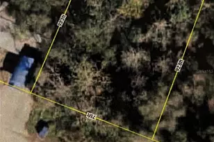 00 SE 97th St, Altoona, FL 32702 - Photo 1