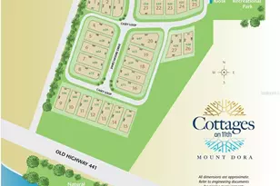 665 James Moore Dr, Mount Dora, FL 32757 - Photo 4