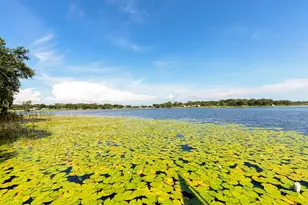 590 Crescent St, Umatilla, FL 32784 - Photo 44