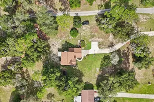 3040 Griffin View Dr, Lady Lake, FL 32159 - Photo 50