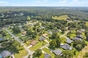 23416 Sunset View, Sorrento, FL 32776 - Photo 42