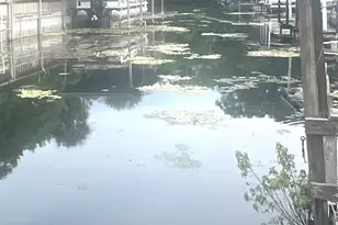 240 Rue De Fontaine, Tavares, FL 32778 - Photo 8