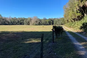 2436 Cr 416N, Lake Panasoffkee, FL 33538 - Photo 22