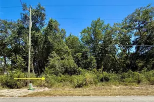 Lot 12 Lake Dr, Eustis, FL 32736 - Photo 1