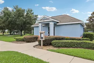 3207 Zander Dr, Grand Island, FL 32735 - Photo 36