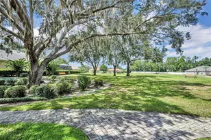 356 Blue Branch St, Eustis, FL 32736 - Photo 50