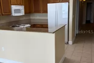 13427 Blue Heron Beach Dr, Orlando, FL 32821 - Photo 4