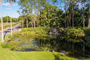 14 Camino Real Blvd, Howey in the Hills, FL 34737 - Photo 60