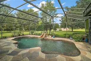 7685 Lake Angelina Dr, Mount Dora, FL 32757 - Photo 6