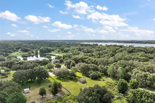 7685 Lake Angelina Dr, Mount Dora, FL 32757 - Photo 38