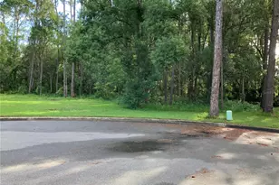 Timber Ln, Eustis, FL 32726 - Photo 1