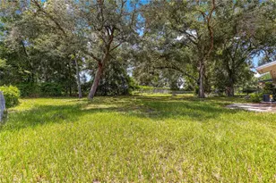 998 Hibiscus St, Lady Lake, FL 32159 - Photo 6