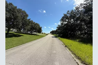 Lot 98 Bear Den Drive, Eustis, FL 32736 - Photo 4