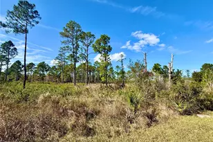 Lot 8 Honeysuckle St, Eustis, FL 32736 - Photo 1