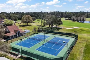 8012 St James Way, Mount Dora, FL 32757 - Photo 48