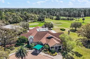 8012 St James Way, Mount Dora, FL 32757 - Photo 44