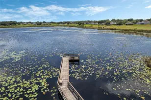 3644 Plantation Blvd, Leesburg, FL 34748 - Photo 48