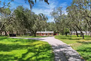 2901 Griffin View Dr, Lady Lake, FL 32159 - Photo 8