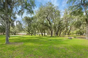 2901 Griffin View Dr, Lady Lake, FL 32159 - Photo 70