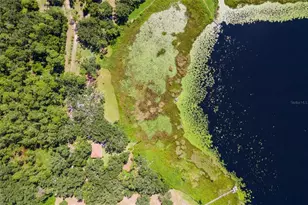 26833 Anderson Ranch Rd, Yalaha, FL 34797 - Photo 40