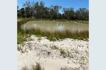 Lake Yale Road, Umatilla, FL 32784 - Photo 2