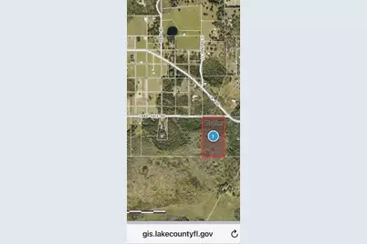 Lake Yale Road, Umatilla, FL 32784 - Photo 6