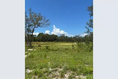 Lake Yale Road, Umatilla, FL 32784 - Photo 1