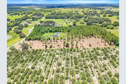 S Dewey Robbins Road, Howey in the Hills, FL 34737 - Photo 2