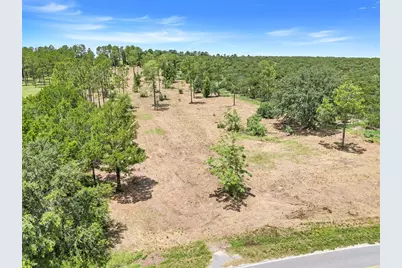 S Dewey Robbins Road, Howey in the Hills, FL 34737 - Photo 8