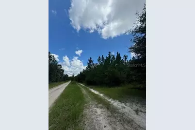 Sw Coles Court, Fort White, FL 32038 - Photo 8