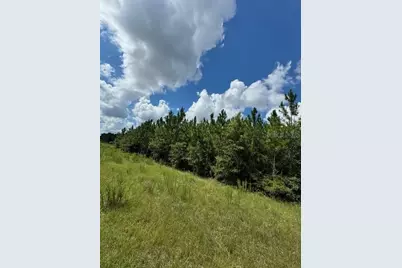 Sw Coles Court, Fort White, FL 32038 - Photo 2