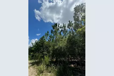 Sw Coles Court, Fort White, FL 32038 - Photo 12