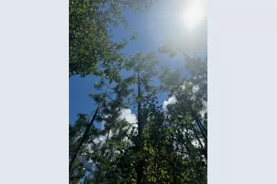 Sw Coles Court, Fort White, FL 32038 - Photo 18