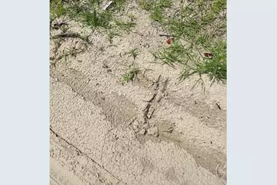 Sw Coles Court, Fort White, FL 32038 - Photo 10