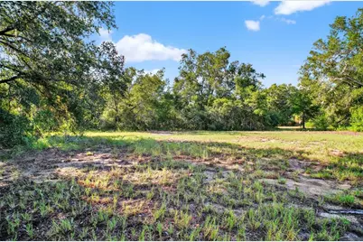 42012 State Road 19, Altoona, FL 32702 - Photo 8