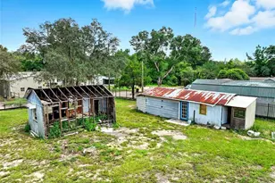 16130 SE 252nd Terrace, Umatilla, FL 32784 - Photo 10