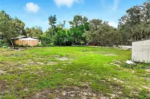 16130 SE 252nd Terrace, Umatilla, FL 32784 - Photo 4