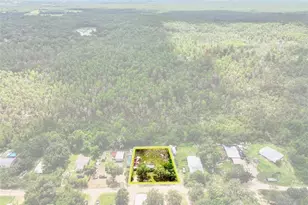 16130 SE 252nd Terrace, Umatilla, FL 32784 - Photo 10