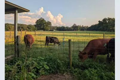 35126 William Lane, Eustis, FL 32736 - Photo 72