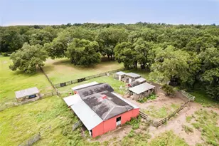 35126 William Ln, Eustis, FL 32736 - Photo 68
