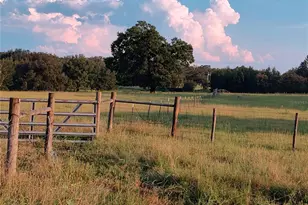 35126 William Ln, Eustis, FL 32736 - Photo 66