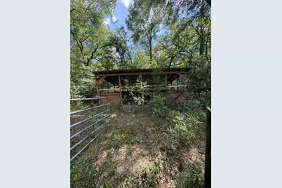 Sw Coles Court, Fort White, FL 32038 - Photo 4