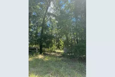 Sw Coles Court, Fort White, FL 32038 - Photo 2